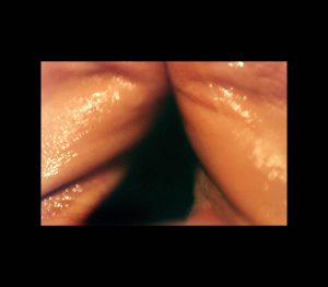 image02