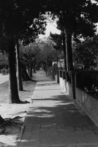 vientos02