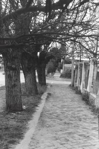 vientos03