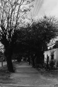 vientos05