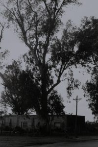 vientos06
